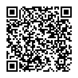 Link zu deiner Spendenaktion QRCode - Fundraising