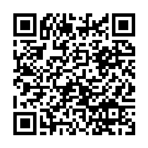 Link zu deiner Spendenaktion QRCode - Fundraising