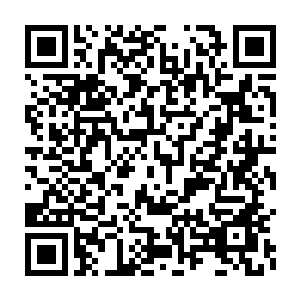 Link zu deiner Spendenaktion QRCode - Fundraising