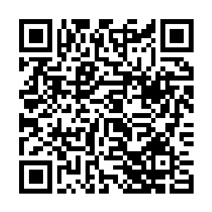 Link zu deiner Spendenaktion QRCode - Fundraising