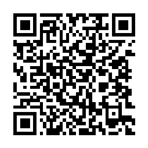 Link zu deiner Spendenaktion QRCode - Fundraising