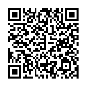 Link zu deiner Spendenaktion QRCode - Fundraising