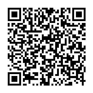 Link zu deiner Spendenaktion QRCode - Fundraising