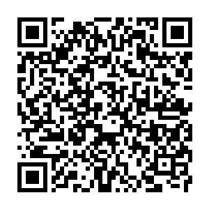 Link zu deiner Spendenaktion QRCode - Fundraising