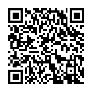 Link zu deiner Spendenaktion QRCode - Fundraising