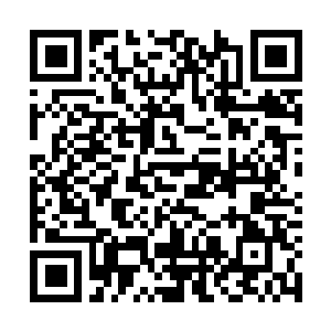 Link zu deiner Spendenaktion QRCode - Fundraising