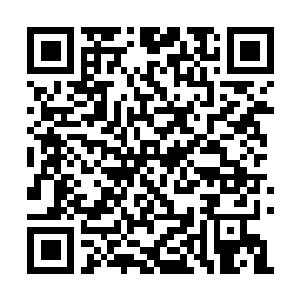 Link zu deiner Spendenaktion QRCode - Fundraising