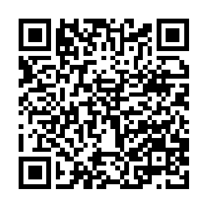 Link zu deiner Spendenaktion QRCode - Fundraising