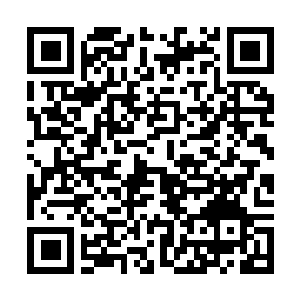 Link zu deiner Spendenaktion QRCode - Fundraising