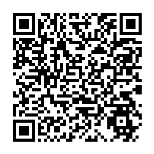 Link zu deiner Spendenaktion QRCode - Fundraising