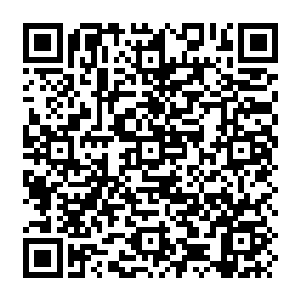 Link zu deiner Spendenaktion QRCode - Fundraising