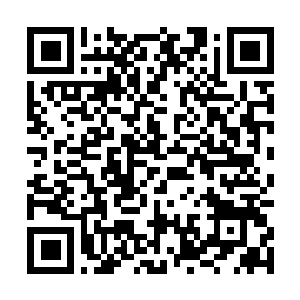 Link zu deiner Spendenaktion QRCode - Fundraising