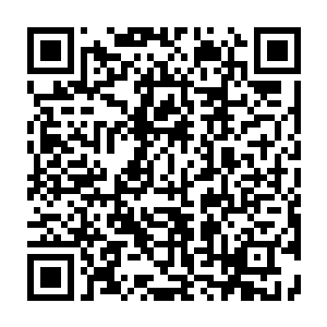 Link zu deiner Spendenaktion QRCode - Fundraising