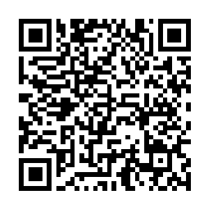 Link zu deiner Spendenaktion QRCode - Fundraising