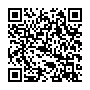 Link zu deiner Spendenaktion QRCode - Fundraising