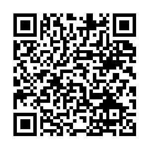 Link zu deiner Spendenaktion QRCode - Fundraising