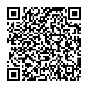 Link zu deiner Spendenaktion QRCode - Fundraising