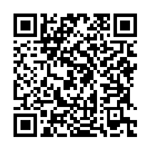 Link zu deiner Spendenaktion QRCode - Fundraising