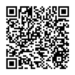 Link zu deiner Spendenaktion QRCode - Fundraising