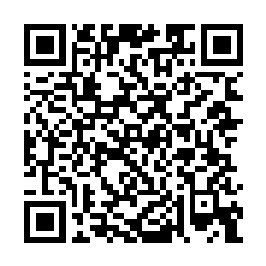 Link zu deiner Spendenaktion QRCode - Fundraising