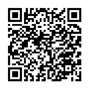 Link zu deiner Spendenaktion QRCode - Fundraising