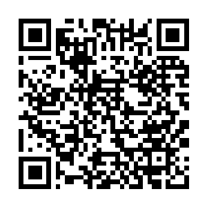 Link zu deiner Spendenaktion QRCode - Fundraising