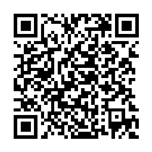 Link zu deiner Spendenaktion QRCode - Fundraising