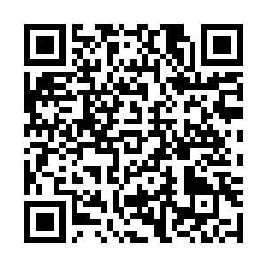 Link zu deiner Spendenaktion QRCode - Fundraising