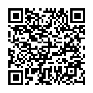 Link zu deiner Spendenaktion QRCode - Fundraising