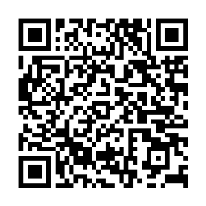 Link zu deiner Spendenaktion QRCode - Fundraising
