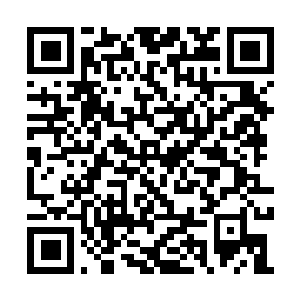 Link zu deiner Spendenaktion QRCode - Fundraising