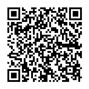 Link zu deiner Spendenaktion QRCode - Fundraising