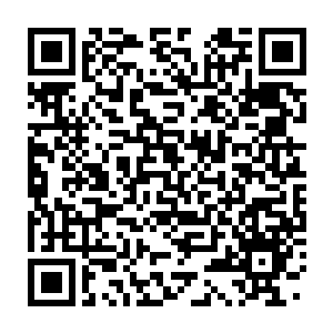 Link zu deiner Spendenaktion QRCode - Fundraising