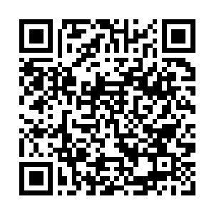 Link zu deiner Spendenaktion QRCode - Fundraising