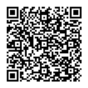 Link zu deiner Spendenaktion QRCode - Fundraising