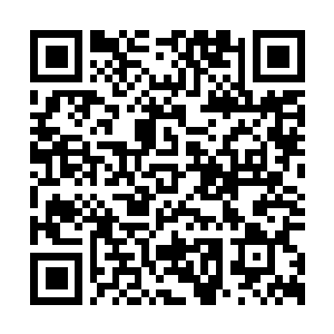 Link zu deiner Spendenaktion QRCode - Fundraising