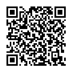 Link zu deiner Spendenaktion QRCode - Fundraising