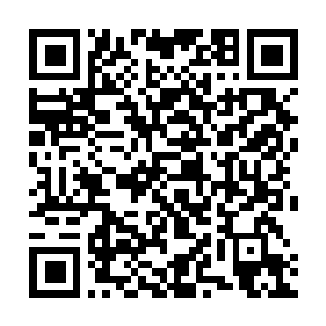 Link zu deiner Spendenaktion QRCode - Fundraising