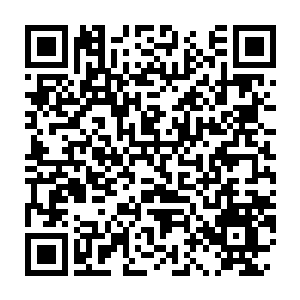 Link zu deiner Spendenaktion QRCode - Fundraising