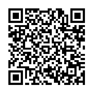 Link zu deiner Spendenaktion QRCode - Fundraising