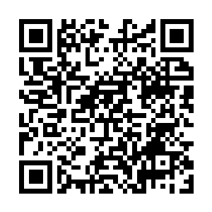 Link zu deiner Spendenaktion QRCode - Fundraising