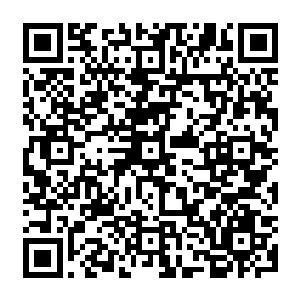 Link zu deiner Spendenaktion QRCode - Fundraising