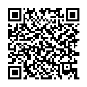 Link zu deiner Spendenaktion QRCode - Fundraising