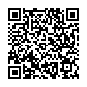 Link zu deiner Spendenaktion QRCode - Fundraising