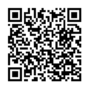 Link zu deiner Spendenaktion QRCode - Fundraising