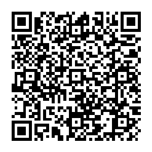 Link zu deiner Spendenaktion QRCode - Fundraising