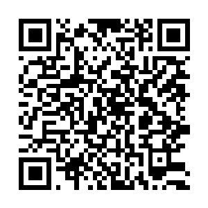 Link zu deiner Spendenaktion QRCode - Fundraising