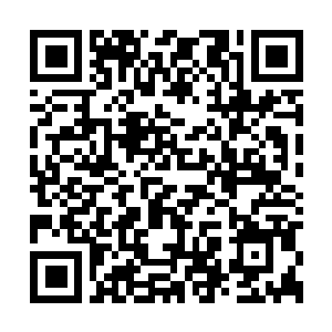 Link zu deiner Spendenaktion QRCode - Fundraising