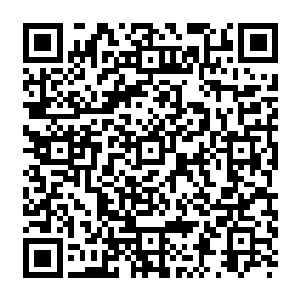 Link zu deiner Spendenaktion QRCode - Fundraising