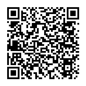 Link zu deiner Spendenaktion QRCode - Fundraising